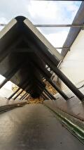Transport van uien en aardappelen door Transportbedrijf Wit (foto 1)