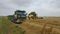 GMP+ diervoedertransport door Transportbedrijf Wit (foto 26)