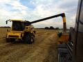 GMP+ diervoedertransport door Transportbedrijf Wit (foto 4)