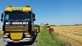 GMP+ diervoedertransport door Transportbedrijf Wit (foto 29)
