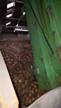 Transport van uien en aardappelen door Transportbedrijf Wit (foto 18)