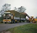 Historie van Transportbedrijf Wit (foto 31)
