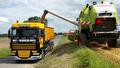 GMP+ diervoedertransport door Transportbedrijf Wit (foto 11)