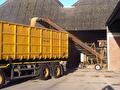 Transport van uien en aardappelen door Transportbedrijf Wit (foto 15)