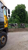 Transport door Transportbedrijf Wit (foto 37)